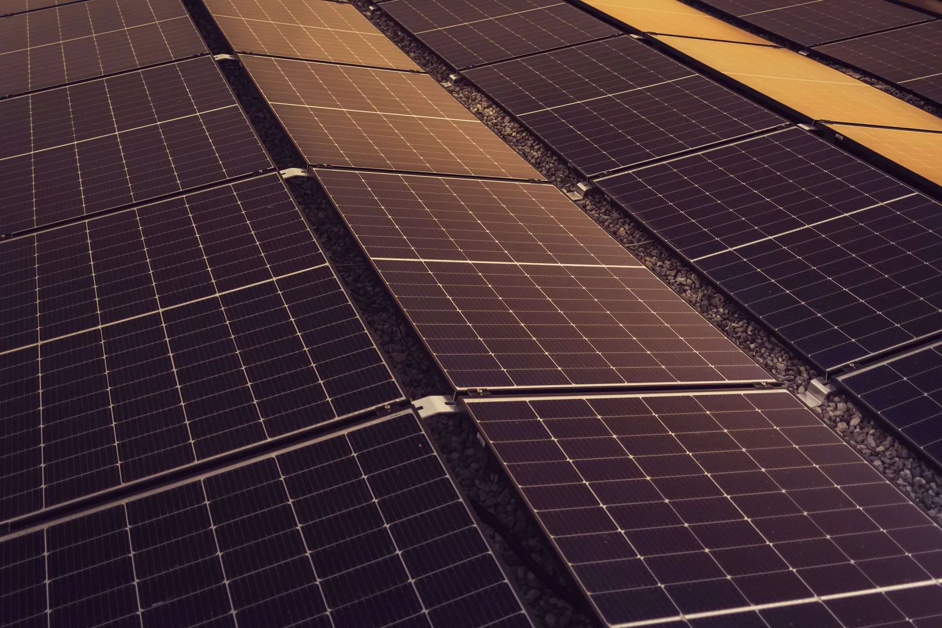 Rows of solar panels at dusk